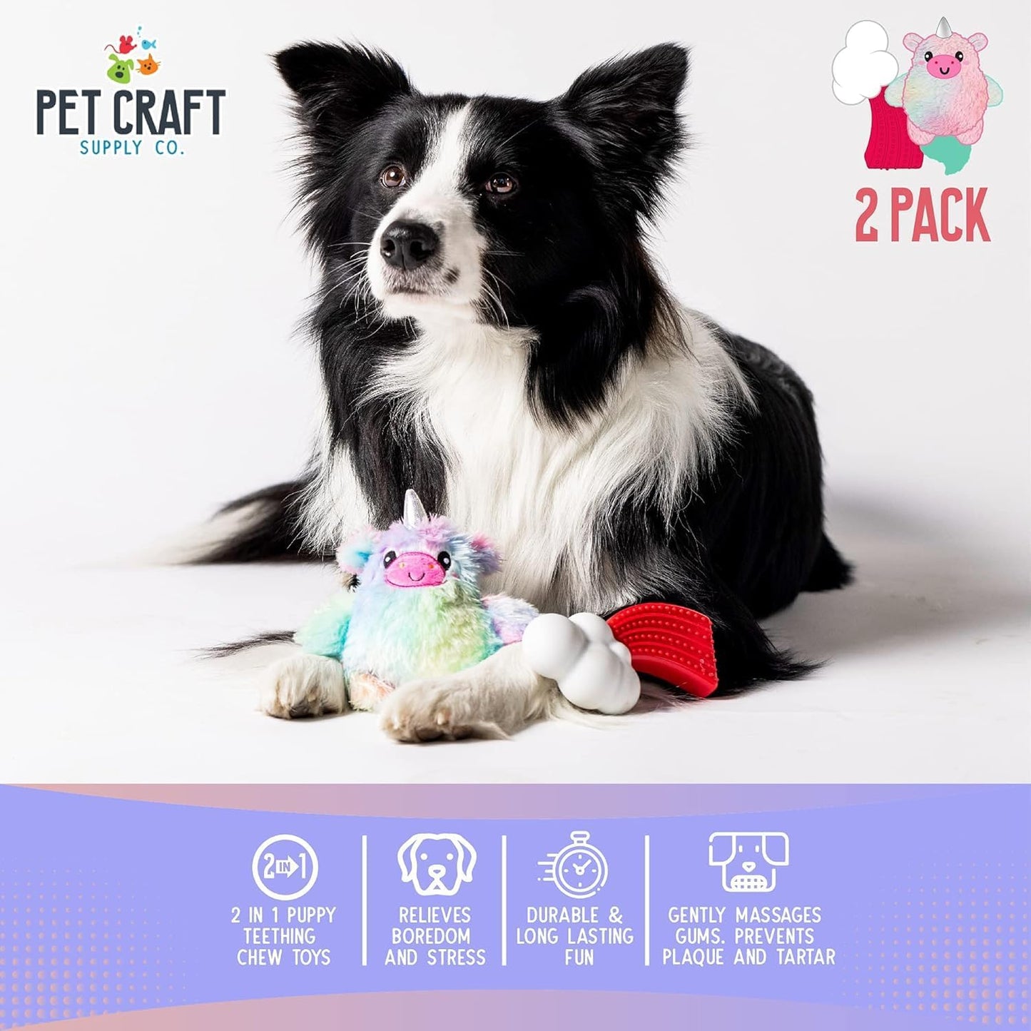 Pet Craft Supply Puppy Teething Dental Chew Teeth Cleaning Nylon Bone Squeaky Plush Dog Toys with Super Squeaker Ball 2 Pack Cute Tough Durable for Puppies Small Medium Dogs Aggressive Chewers