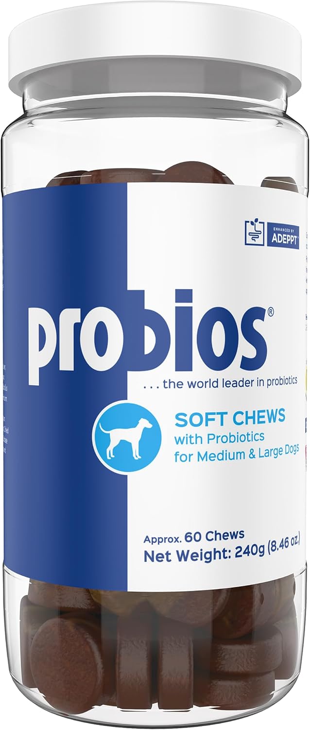 Probios for Dogs Soft Chews, Probiotics for Dogs, Daily Supplement for Gut Health, Digestion & Immune Support, Medium & Large Breeds, 8.46oz