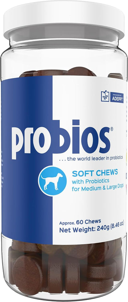 Probios for Dogs Soft Chews, Probiotics for Dogs, Daily Supplement for Gut Health, Digestion & Immune Support, Medium & Large Breeds, 8.46oz