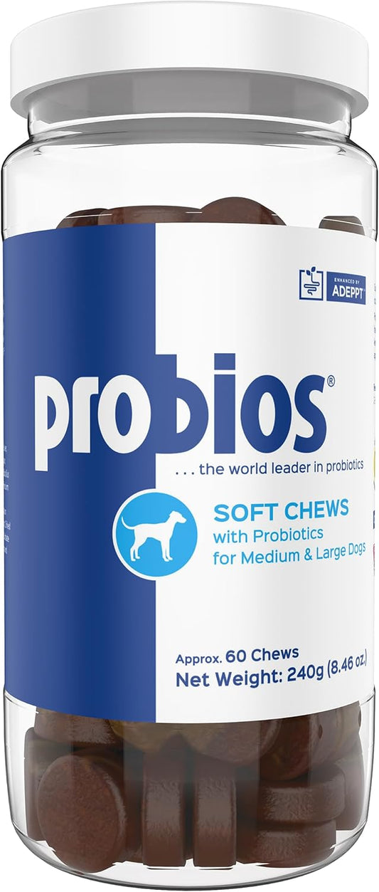 Probios for Dogs Soft Chews, Probiotics for Dogs, Daily Supplement for Gut Health, Digestion & Immune Support, Medium & Large Breeds, 8.46oz