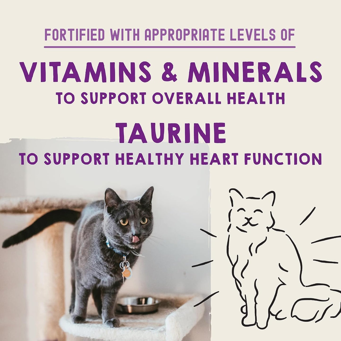 Stella & Chewy’s Carnivore Cravings Savory Shreds Canned Wet Cat Food Variety Pack – (2.8 Ounce Cans, Case of 12)