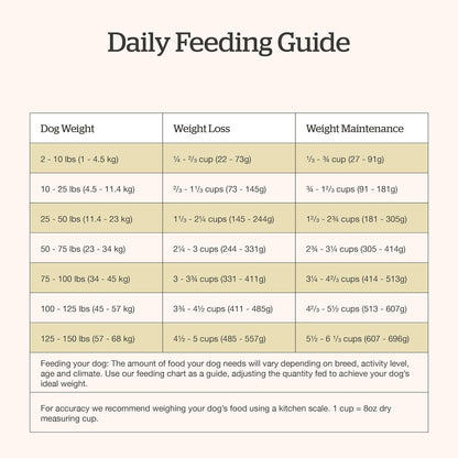 Now Fresh Good Gravy Premium Dry Senior Dog Food with Grass-Fed Beef & Ancient Grains, Healthy Kibble Coated in Bone Broth – Just Add Water to Moisten, Made with Real Red Meat, 3.5 lb Bag