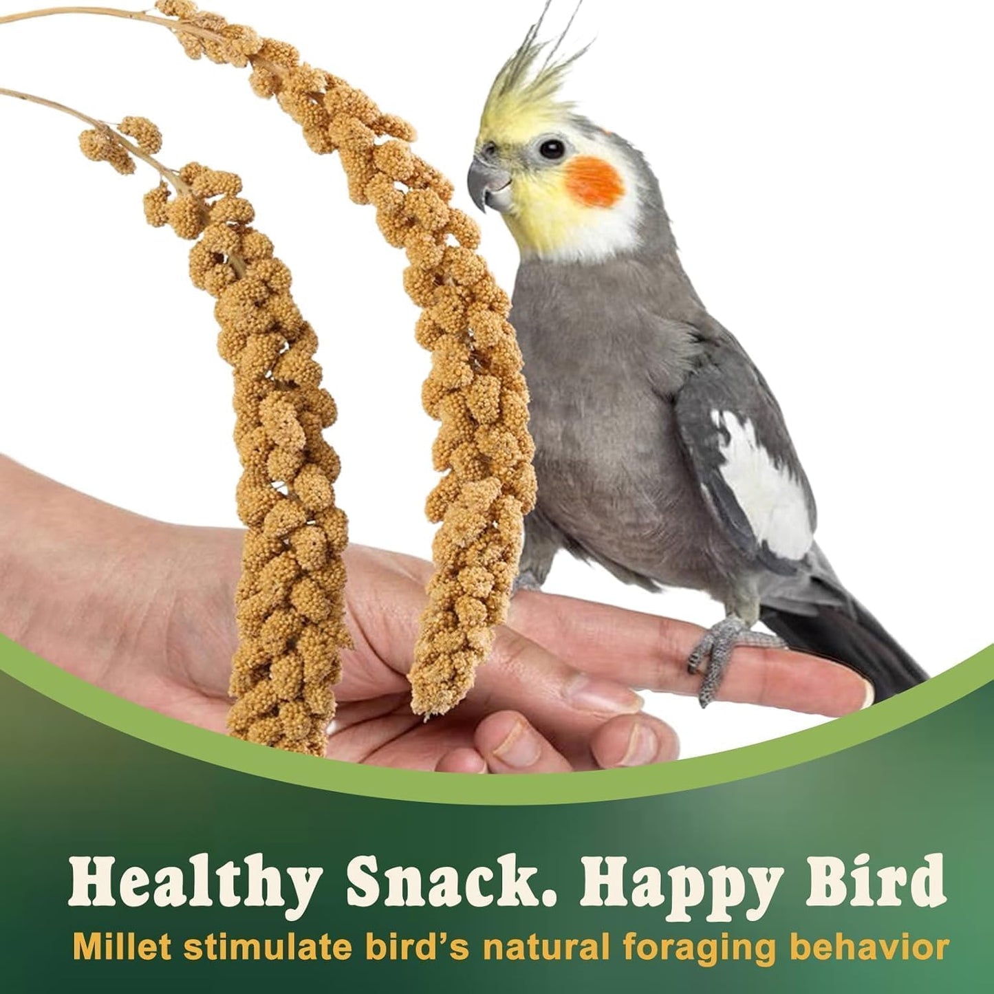RANZ 1LBS Spray Millet Treat for Pet Birds, Hand-Harvested Bird Snack, Natural Sun-Dried Millet Spray for Parakeets, Parrots, Cockatiels, Lovebirds, Budgies, Finches, Canaries