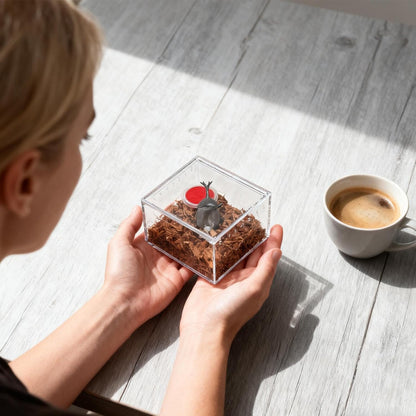 Spider Terrarium, Transparent Waterproof Reptile Feeding Enclosure Box, Gecko Breeding Feeding Hatching Container Tank, Small Reptile Animal Habitat Cage for Snail Frog Gecko Scorpion Centipede