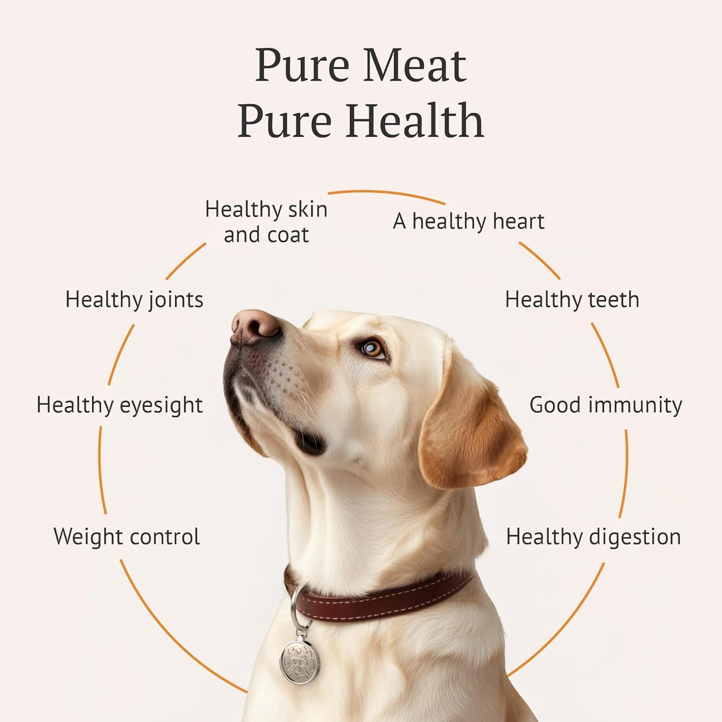 Freeze Dried Raw Dog Food, 100% Camel Meat, Allergy Relief, Monoprotein, Training Treats, Single Ingredient, for Puppies, Adults and Seniors, 3.17 oz Bag (3.17 oz, Pure Camel Meat)