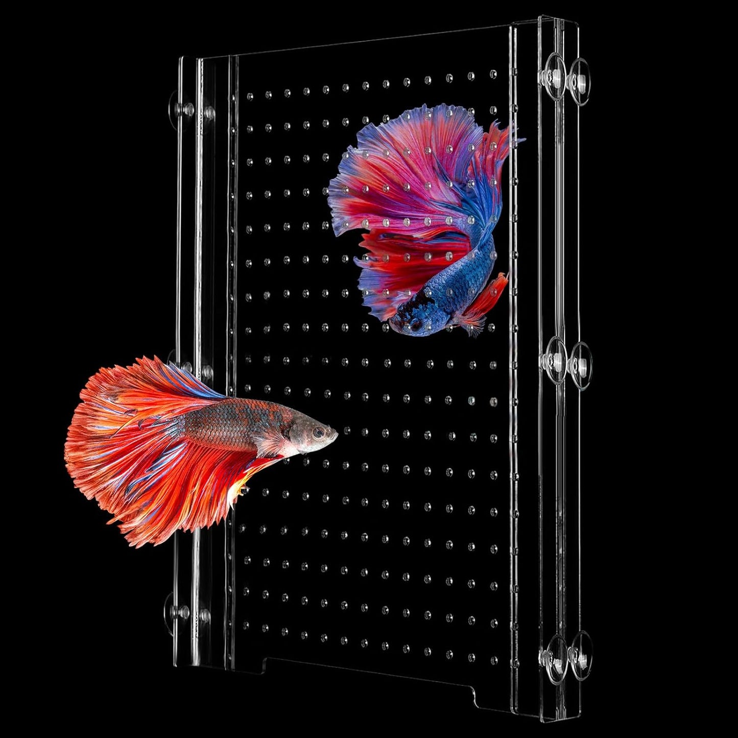 Fish Tank Divider, Transparent Acrylic Separator Plate with Suction Cups for Aquarium, Aquarium Divider Grid, Fish Tank Accessories