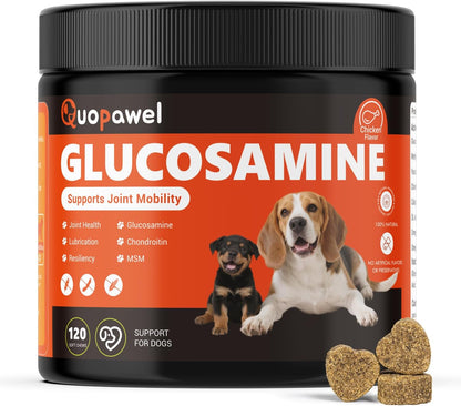 Hip and Joint Supplement for Dogs with Glucosamine, Chondroitin, MSM & Yucca - Glucosamine for Dogs，Joint Pain Relief Chews for Mobility & Discomfort-Chicken Flavor, 120 Count