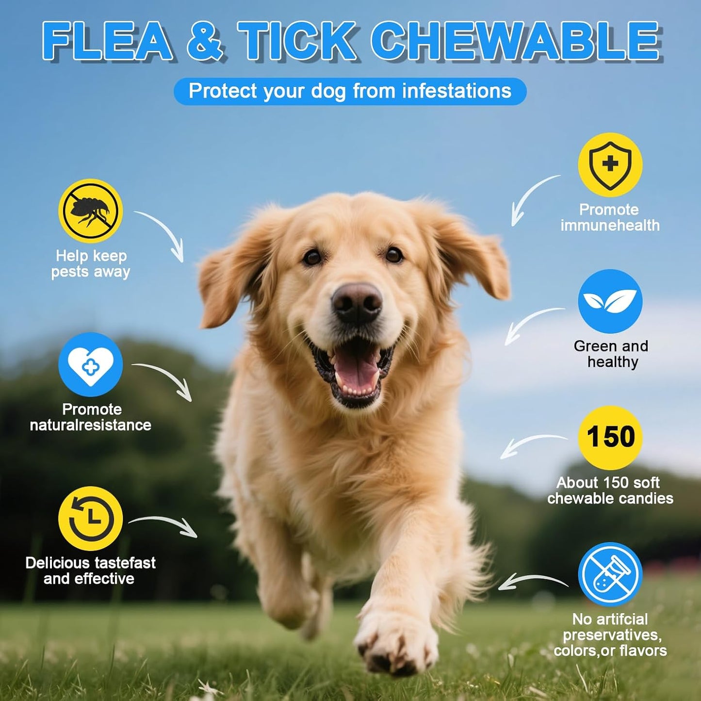 Dog (Chicken Flavor, 150 Chews)