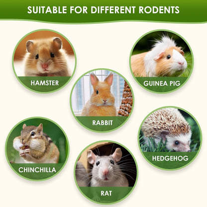 Freeze Dried Tofu for Hamsters High Protein Low Fat & Balanced Minerals Grain Single Ingredient Natural Treats for Rabbits Guinea Pigs & Small Pets (Freeze-Dried Tofu - Purple Sweet Potato)