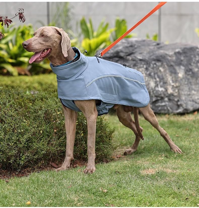 Pro-Series Waterproof Dog Coat, Softshell Winter Jacket with Fleece Lining & Rear Leg Straps, Full-Coverage Raincoat with Dual-Zipper Harness Port for Outdoor Hiking (Blue, Large)