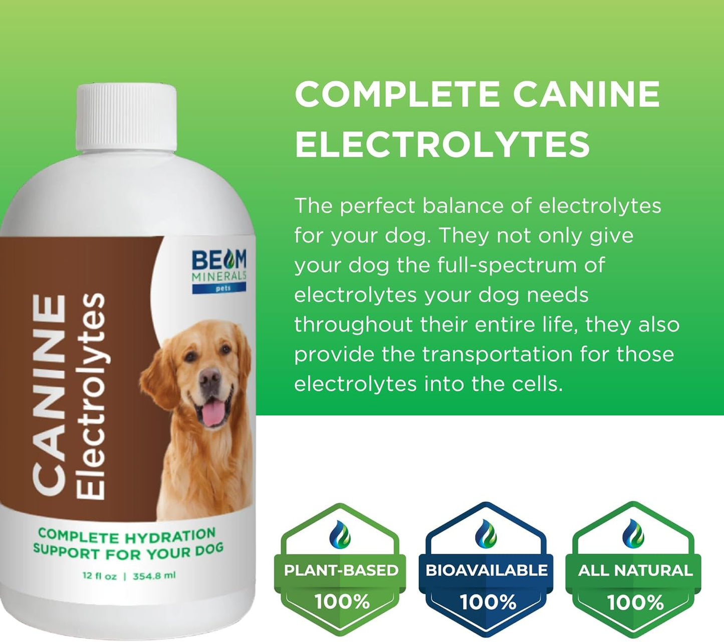 Beam Minerals Complete Canine Electrolytes | Full-Spectrum Electrolytes for Dogs | 12 Fl Oz