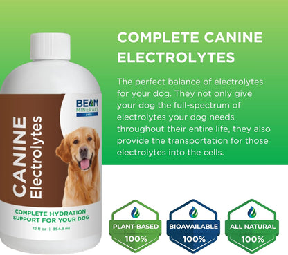 Beam Minerals Complete Canine Electrolytes | Full-Spectrum Electrolytes for Dogs | 12 Fl Oz