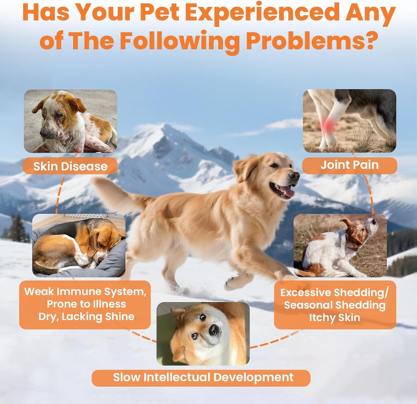 VUN Salmon Fish Oil for Dogs & Cats,Omega 3 Fish Oil Supplement for Itchy Dry Skin Coat,Allergy Relief,Joints&Paws,Brain,Eyes&Heart Treatment,Wild Liquid Fish Oil for Dogs by Pump with EPA DHA–16 oz