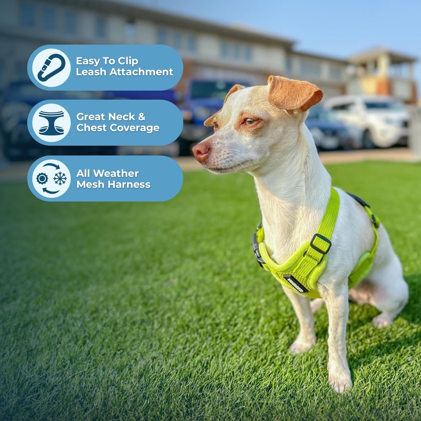 Best Pet Supplies Voyager Step-in Air Harness - All Weather Mesh, Reflective, No Pull Harness for Dogs, Cats - Secure with Hook & Loop Fastener, Buckle, Double D-Rings - Lime Green, XS