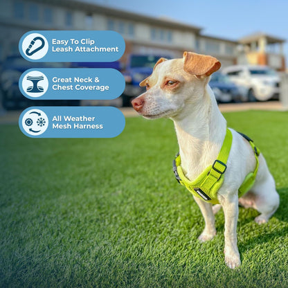 Best Pet Supplies Voyager Step-in Air Harness - All Weather Mesh, Reflective, No Pull Harness for Dogs, Cats - Secure with Hook & Loop Fastener, Buckle, Double D-Rings - Lime Green, XS