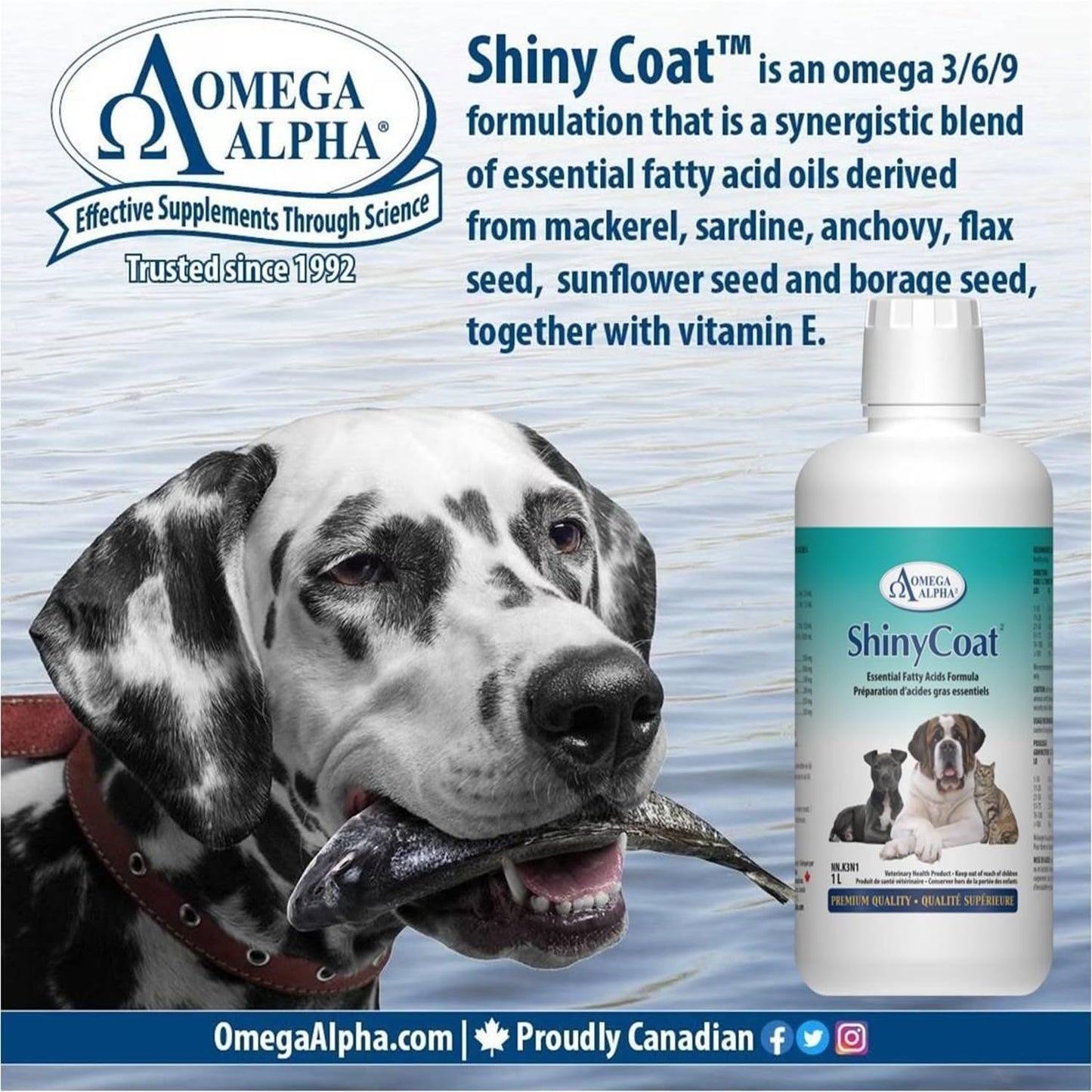 Omega Alpha Shiny Coat Equine Supplement, 1L