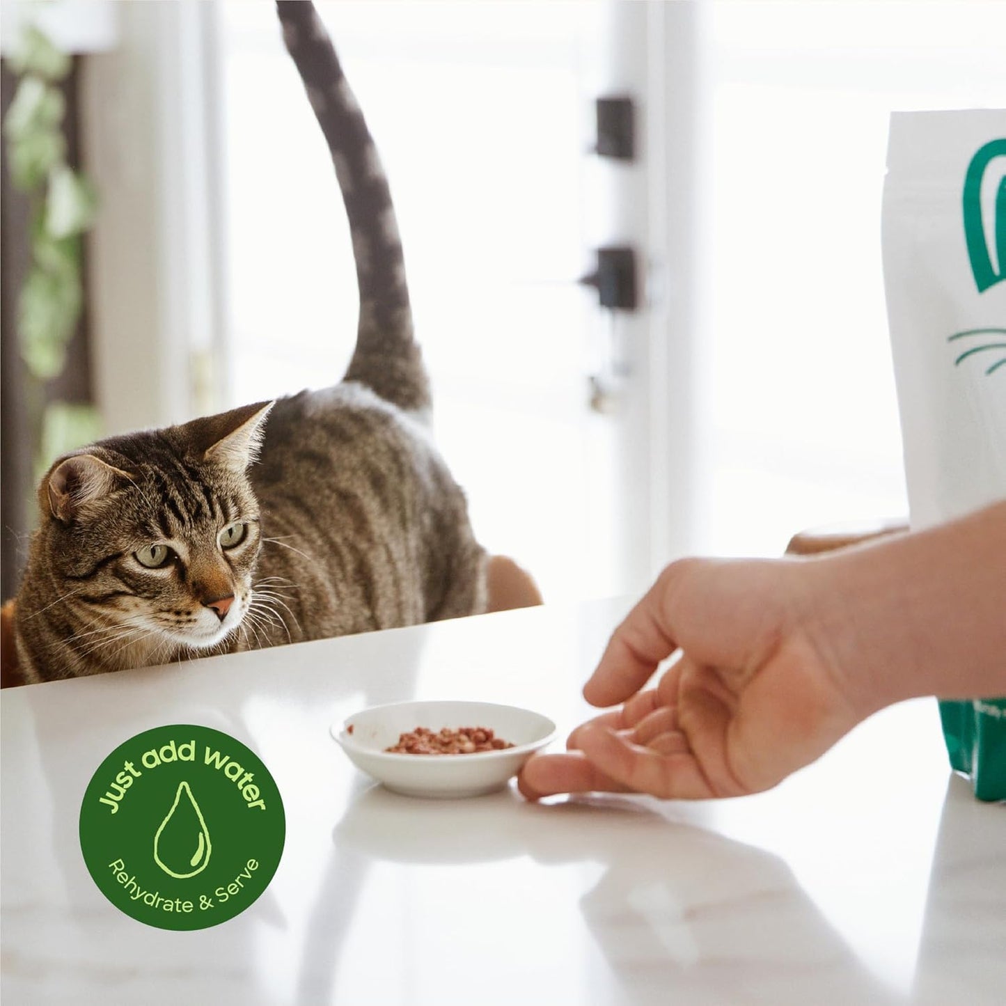 Freeze-Dried Raw Cat Food, Shelf Stable Food Bites, Chicken Recipe, High Protein Meal or Topper for Cats, Humanely Raised Meat, Organic, Non-GMO Produce, Made in The USA, 10oz Bag