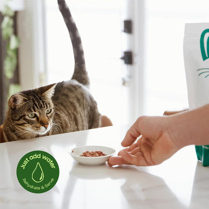 Freeze-Dried Raw Cat Food, Shelf Stable Food Bites, Chicken Recipe, High Protein Meal or Topper for Cats, Humanely Raised Meat, Organic, Non-GMO Produce, Made in The USA, 10oz Bag