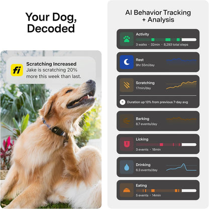 New Fi Series 3+ Smart Dog Tracker Collar [12 Month Membership Included] GPS Tracker for Dogs with Health & Behavior Monitoring, Escape Alerts, Waterproof, LED, Apple Watch Compatible (Gray, Medium)