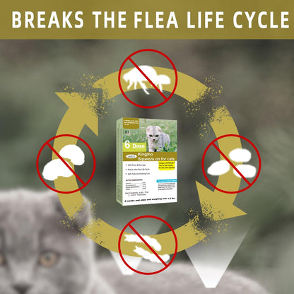 Flea and Tick Prevention for Cats, Cat Flea & Tick Control, Long-Lasting & Fast-Acting Topical Flea & Tick Treatment Drops for Kitten (6 Doses)