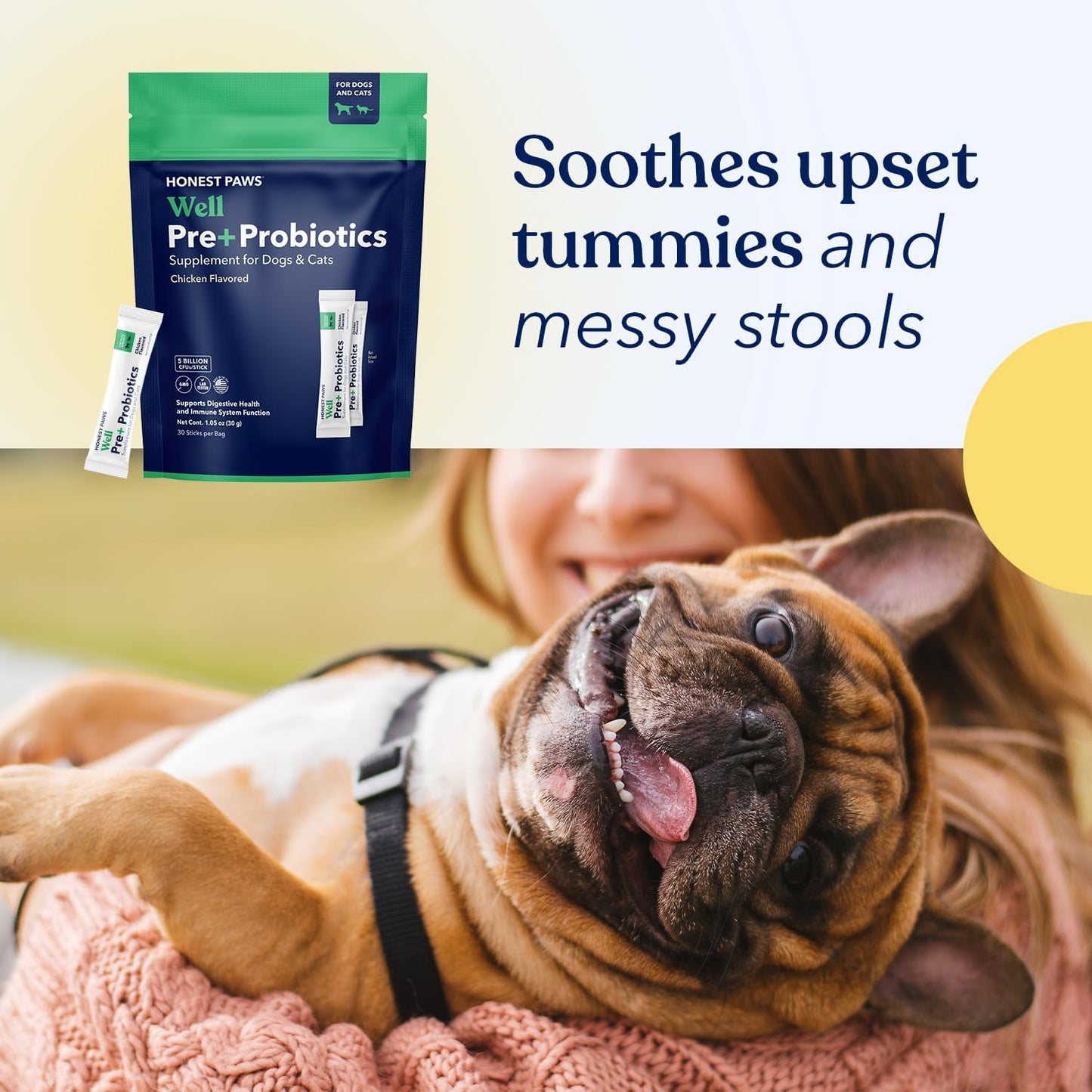 Honest Paws Probiotics for Dogs - Digestive & Immune Support Powder with Prebiotic Made in The USA, Chicken Flavor (30 Sticks)