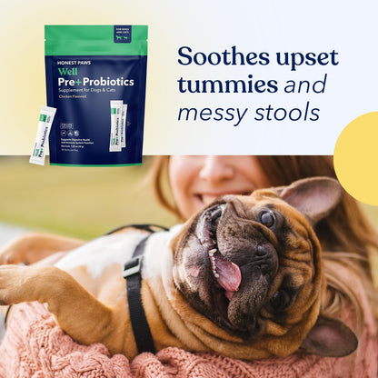 Honest Paws Probiotics for Dogs - Digestive & Immune Support Powder with Prebiotic Made in The USA, Chicken Flavor (30 Sticks)