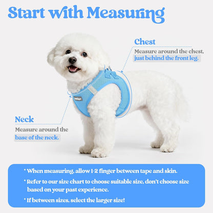 rabbitgoo Dog Harness Small Sized and Leash Set, Step in Soft Light Puppy Vest, Breathable Mesh Pet Harness, Reflective for Safe Easy Walking, Blue M