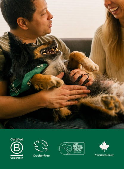 Earth Rated XL Pet Wipes for Dogs & Cats, 3-in-1 Unscented Hypoallergenic Cleaning, Deodorizing and Hydrating Extra Large Grooming for Body, Paws and Butt, Unscented, 60 Count