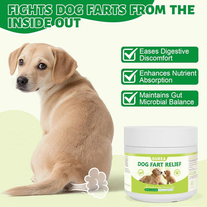 Dog Fart Remedy, Relief Smelly Farts with 4B CFU Pediococcus Acidilactici Probiotics, Digestive Enzymes, Dog Gas Relief to Help Gas & Bloating, Dogs Farts Relief, Dogs Gut Health Digestive Support