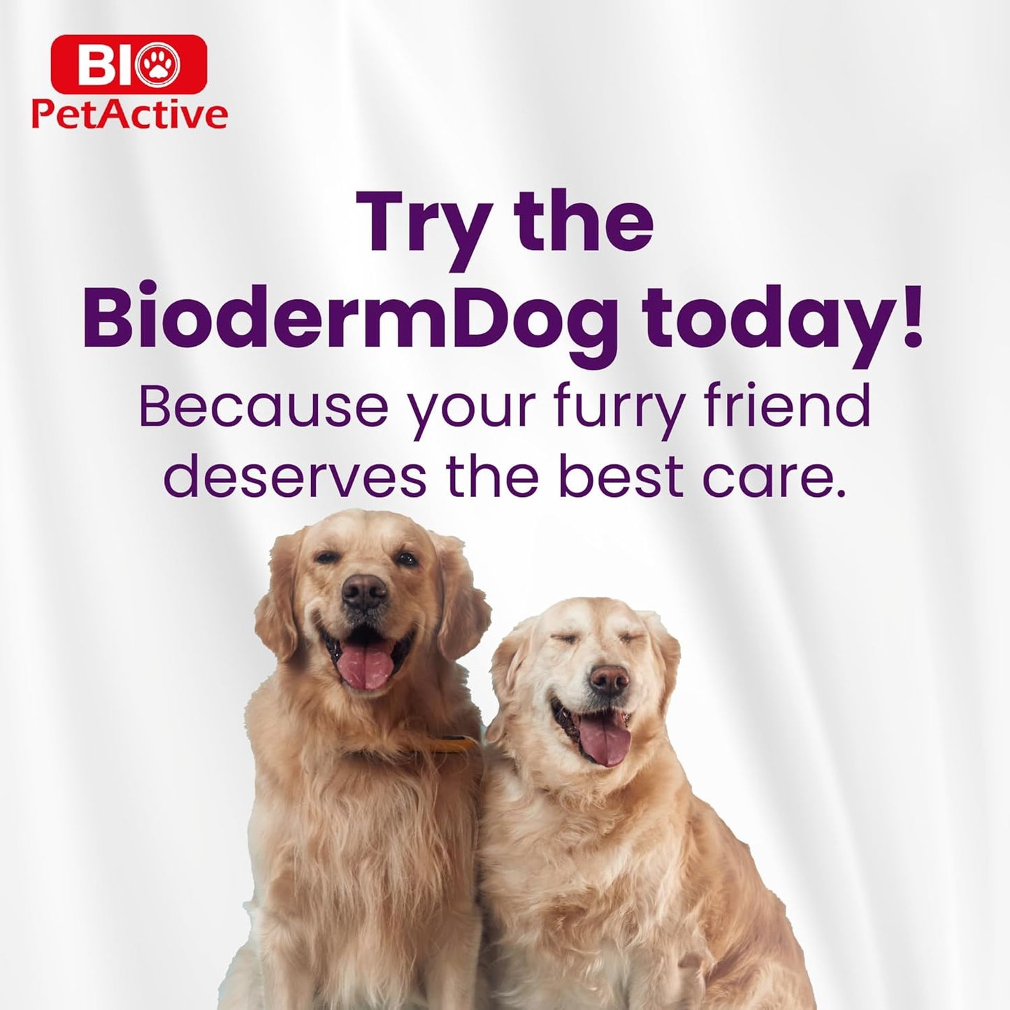 Bio PetActive Dog Zinc and Biotin Supplement Enriched with Omega 3 & Fish Oil | Support Healthy Skin, Coat, Hair and Nail | 500mg Soft Chews Vitamins & Mineral Complex | 75 Tablets