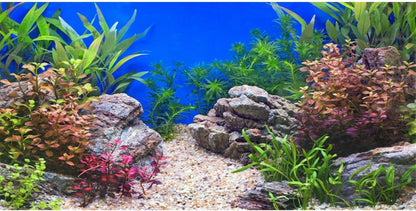 AWERT 30x18 inches Aquatic Plant Fish Tank Background Stone River Bed & Lake Aquarium Background Vinyl