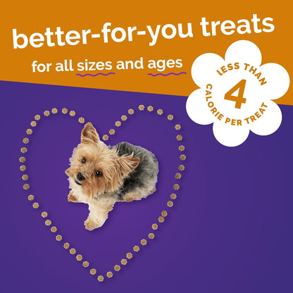 Fruitables Skinny Minis Dog Treats, Healthy Pumpkin Treat for Dogs, Low Calorie & Delicious, Puppy Training, No Wheat, Corn or Soy, Made in the USA, Rotisserie Chicken Flavor, 5oz