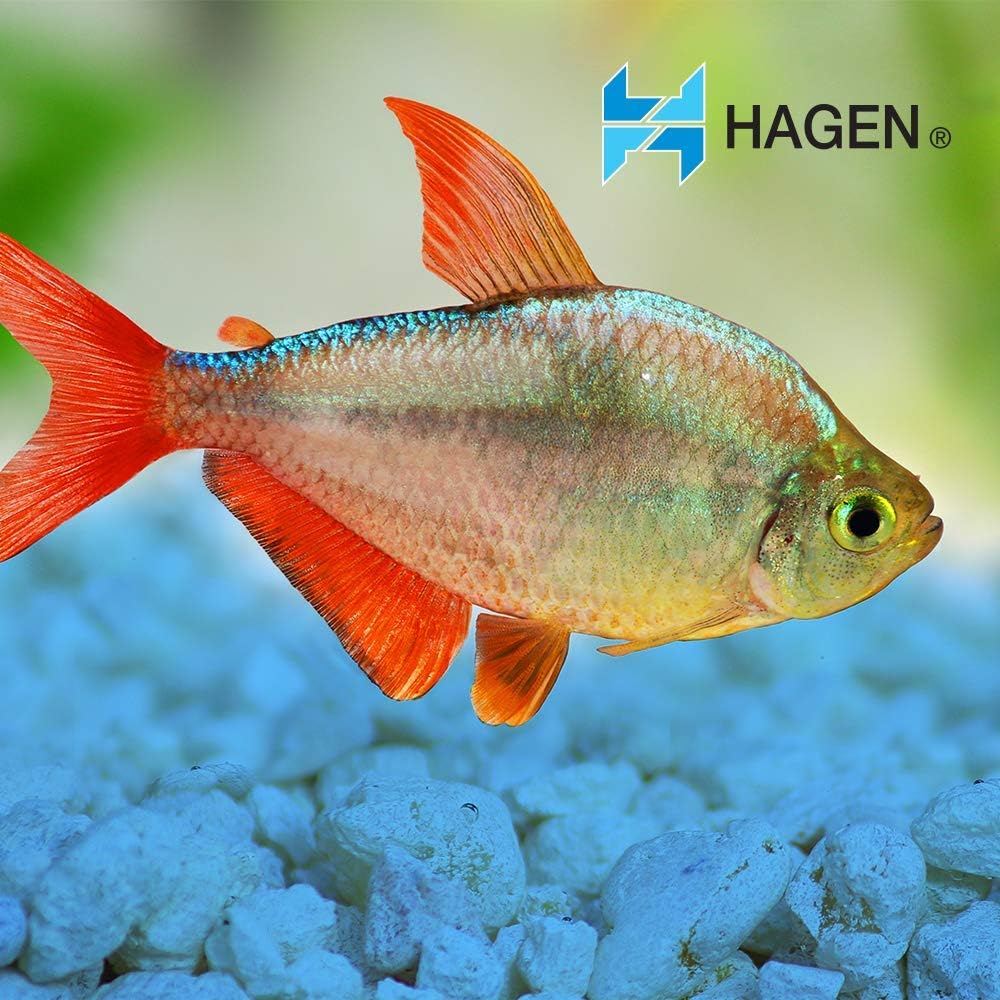 Marina Decorative Gravel, 1-Pound, Blue (Pack of 2)