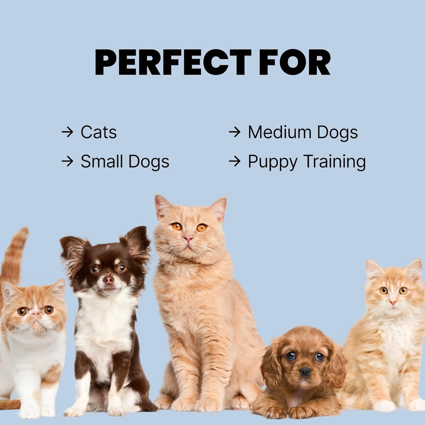 MalsiPree Cat & Dog Slow Feeder Bowl – Improve Digestion – Stainless Steel Water Bowl & Anti-Spill Silicone Mat – for Small & Medium Breeds – 15 oz - Puppy Slow Feeder