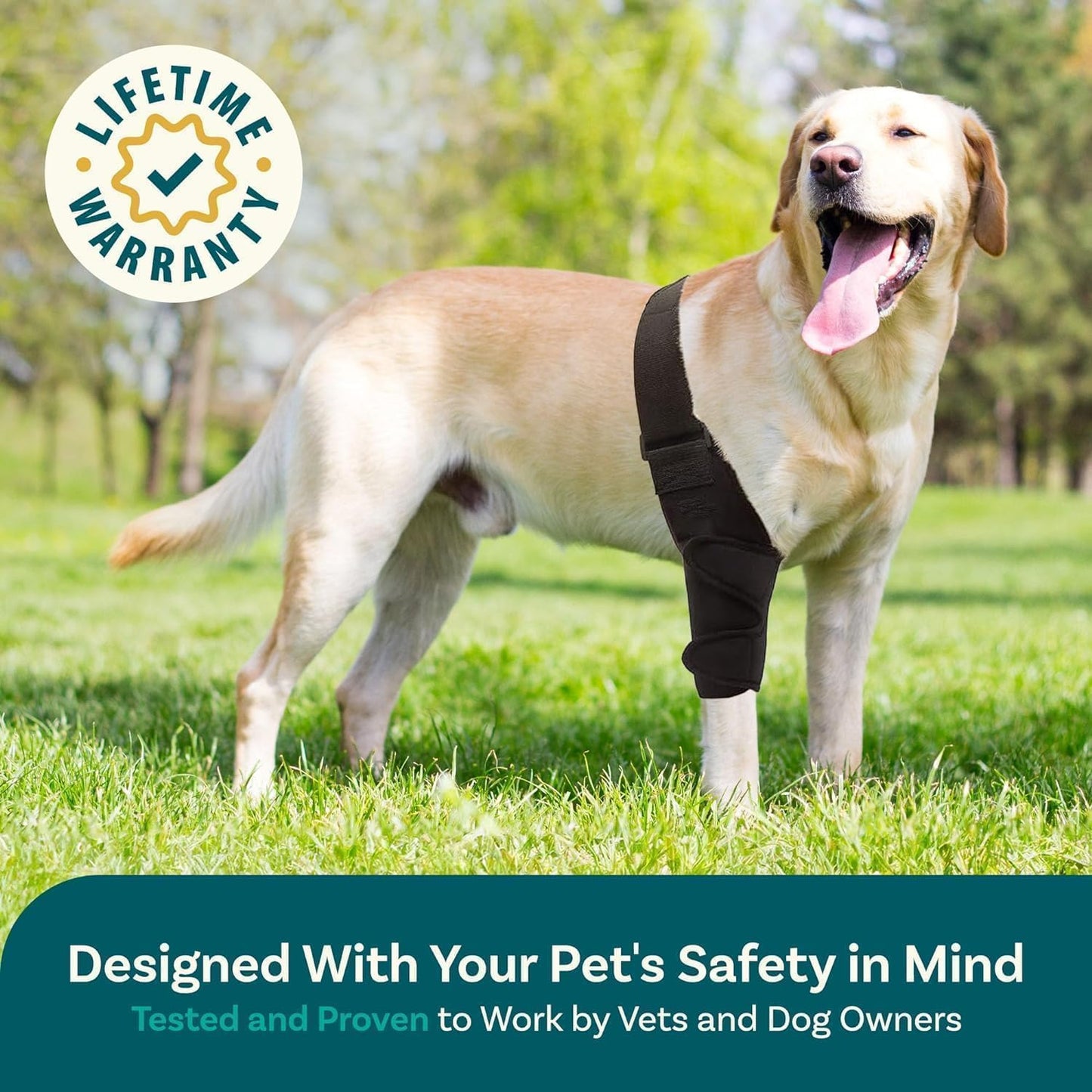 PetCove Dog Knee Brace for Torn Acl Hind Leg — Neoprene Compression, Spring Stabilizers, Belly Band Support Strap, Adjustable Velcro Fit, ACL/CCL, Arthritis, Front/Back Leg, Post-Surgery Recovery