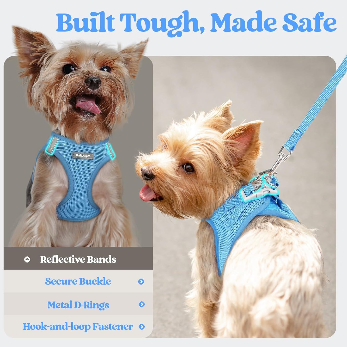 rabbitgoo Dog Harness Small Sized and Leash Set, Step in Soft Light Puppy Vest, Breathable Mesh Pet Harness, Reflective for Safe Easy Walking, Blue M
