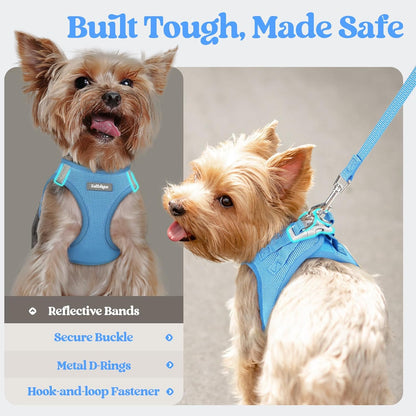rabbitgoo Dog Harness Small Sized and Leash Set, Step in Soft Light Puppy Vest, Breathable Mesh Pet Harness, Reflective for Safe Easy Walking, Blue M