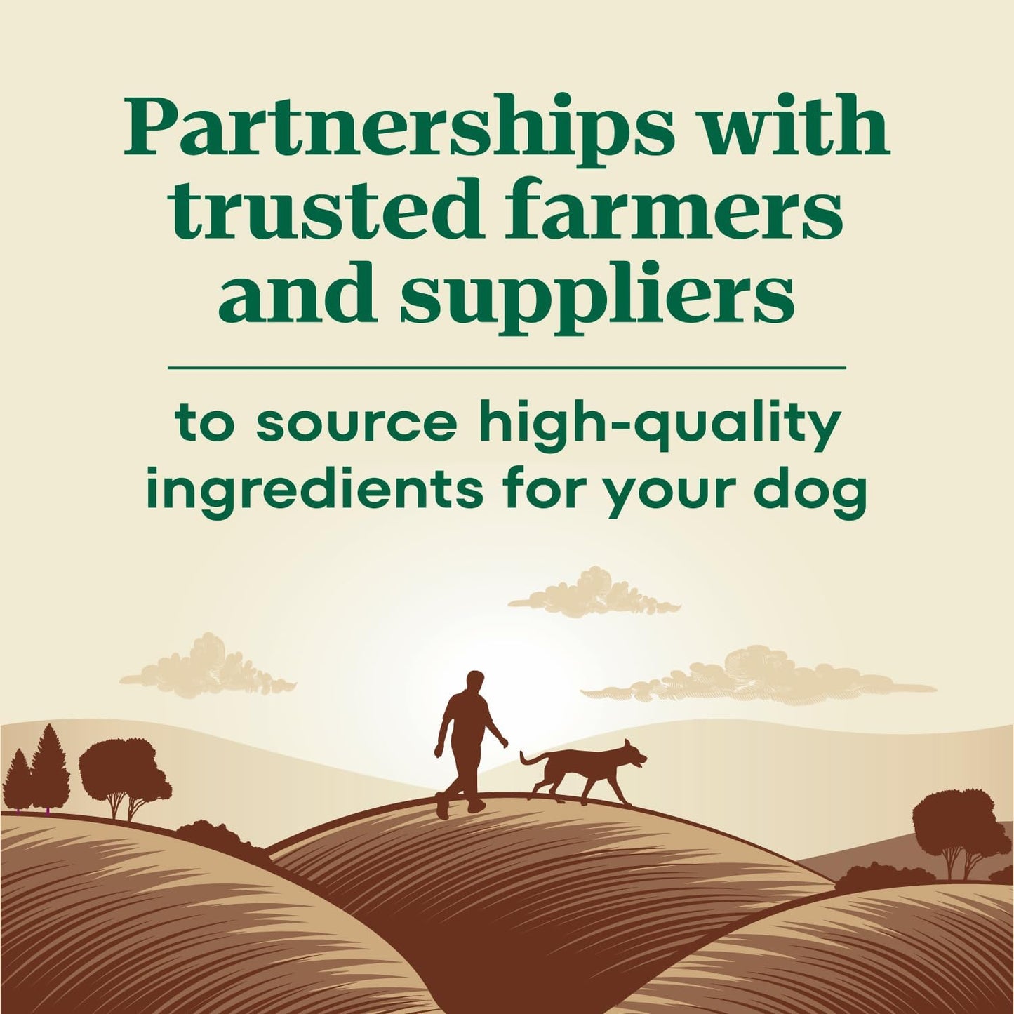 Nutro Max Adult Large Breed Dry Dog Food with Farm-Raised Chicken, 36 lb Bag