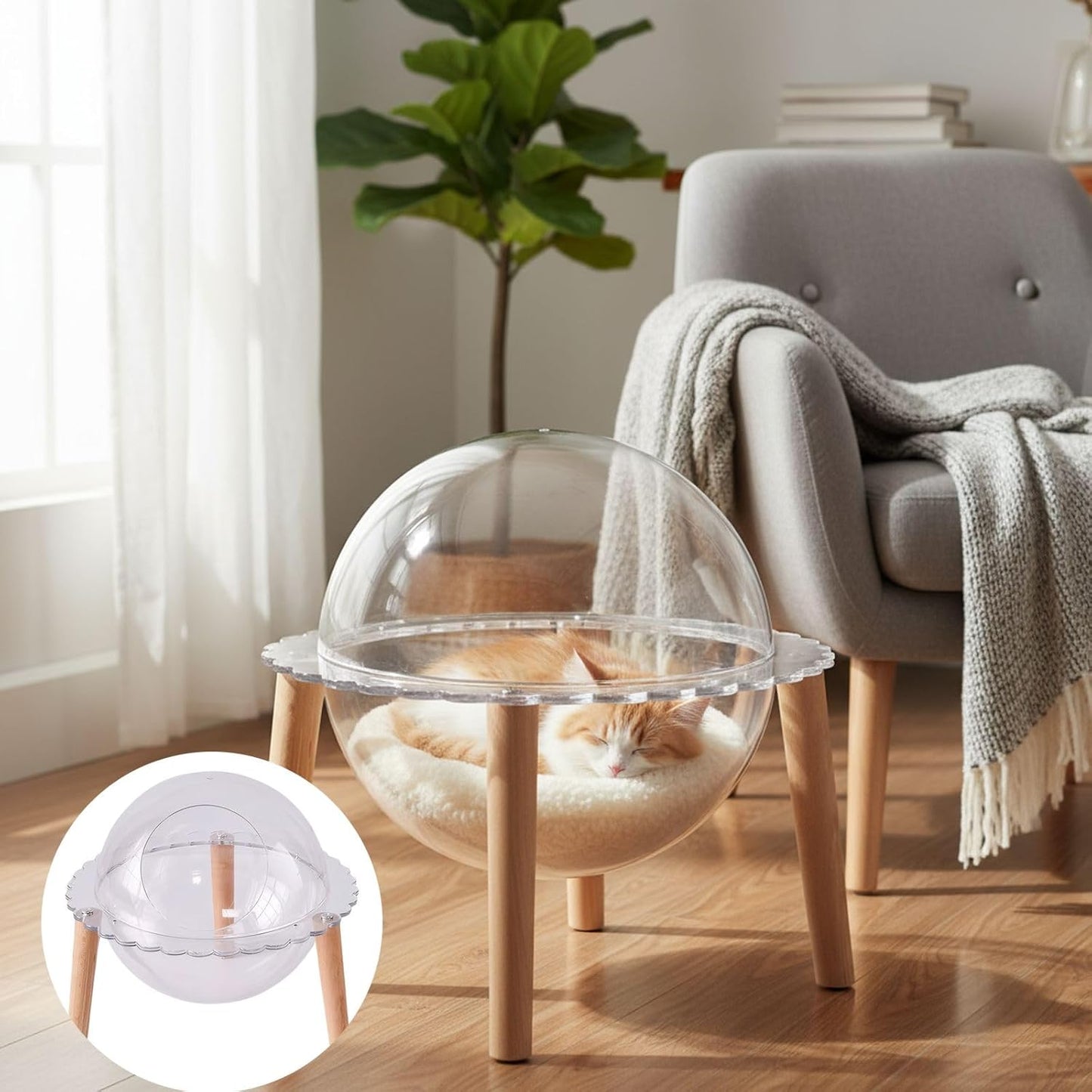 Space Capsule Cat Bed for Indoor Cats, Cat House with Design and Modern Style