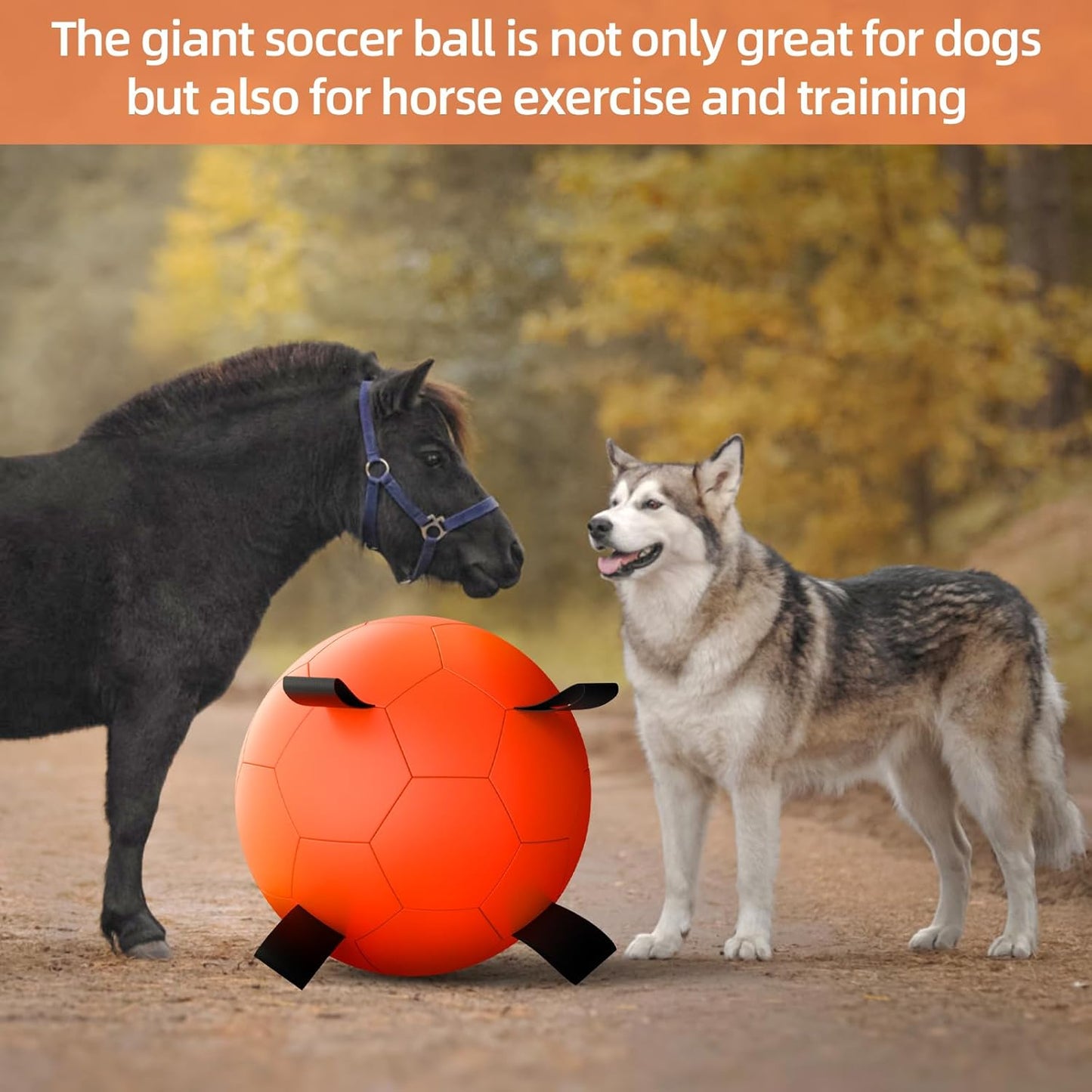 QDAN Herding Ball for Dogs, 25 inch Dog Balls with Straps, Giant Dog Toys Horse Toy, Dog Herding Ball for Australian Shepherd, Orange