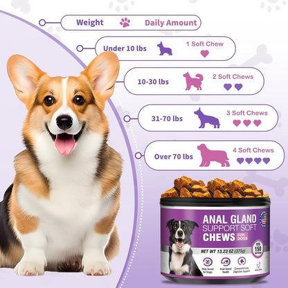 Dog Anal Gland Soft Chews 150 Stop Scoot for Dogs Supports Anal Gland Bowel Function Digestive Health Fiber Pumpkin Supplement for Dogs Pet Diarrhea Bowel Support Probiotics Digestive (Liver Flavor)