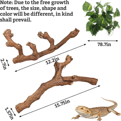 VCEPJH Snake Climbing Branch, 2Pcs Reptile Wood Natural Cork Log and 4 Pcs Reptile Plants, Climbing Wood Branch Terrarium Hanging Fake Plant Leaves for Snake Leopard Gecko Lizard Chameleon