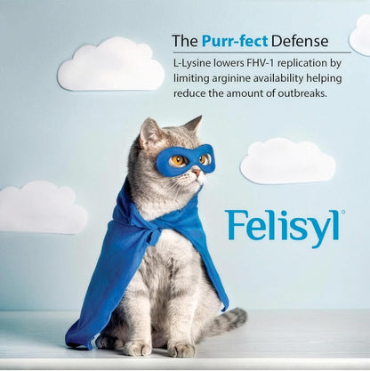 L-Lysine Gel for Cats & Kittens (5oz) – Immune System, Respiratory & Eye Health Support. Reduces Sneezing, Runny Nose & Watery Eyes. Daily Salmon-Flavor Supplement – Made in USA