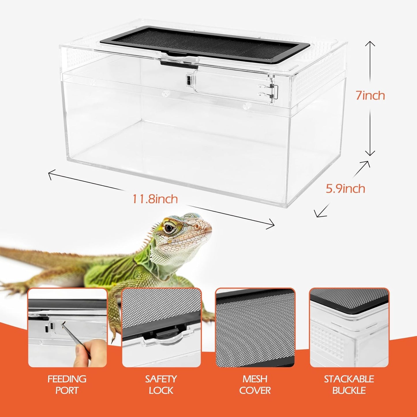 AZV Habitat Terrarium Enclosure Small and Reptile PC Tank Terrarium Amphibian Turtle Tank Starter Kit Habitat Enclosure Cage 7x11x5 inch