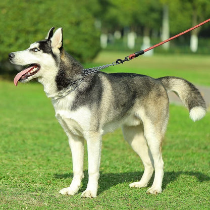 CBBPET Dog Prong Collar, Adjustable Dog Training Collar with Quick Release Buckle for Small Medium Large Dogs (Silver, L/3.5mm Neck: 18"-20'' Weight:70 lbs)