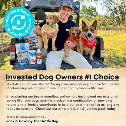 Premium Freeze Dried Minnows for Dogs & Cats - Single Ingredient Raw Dog Training Treats & Dog Food Topper - Made in USA - Gluten Free, Grain Free, High Protein, Rich in Omega-3s - (1.5oz)