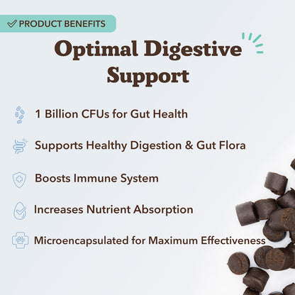 Natural Dog Company Gut Health & Canine Specific Probiotics Chews, 1 Daily Chew for All Dogs, Prebiotics & Digestive Enzymes for Digestion, Gas, Loose Stool, Immune System & Bowel Support