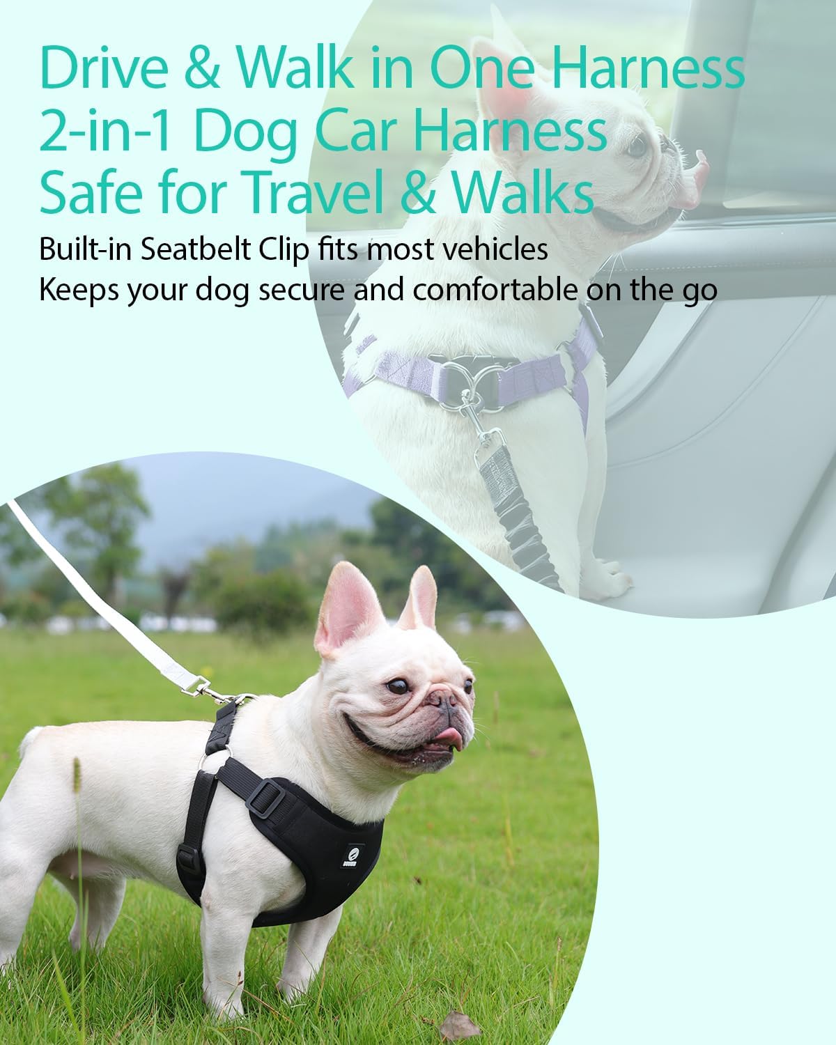 Dog Seat Belt Harness for Car,Padded Dog Car Safety Vest Harness,2 in 1 Seatbelt Tether with Elastic Bungee Journey Harnesses for Small Medium Large Pets (Purple X-Large)