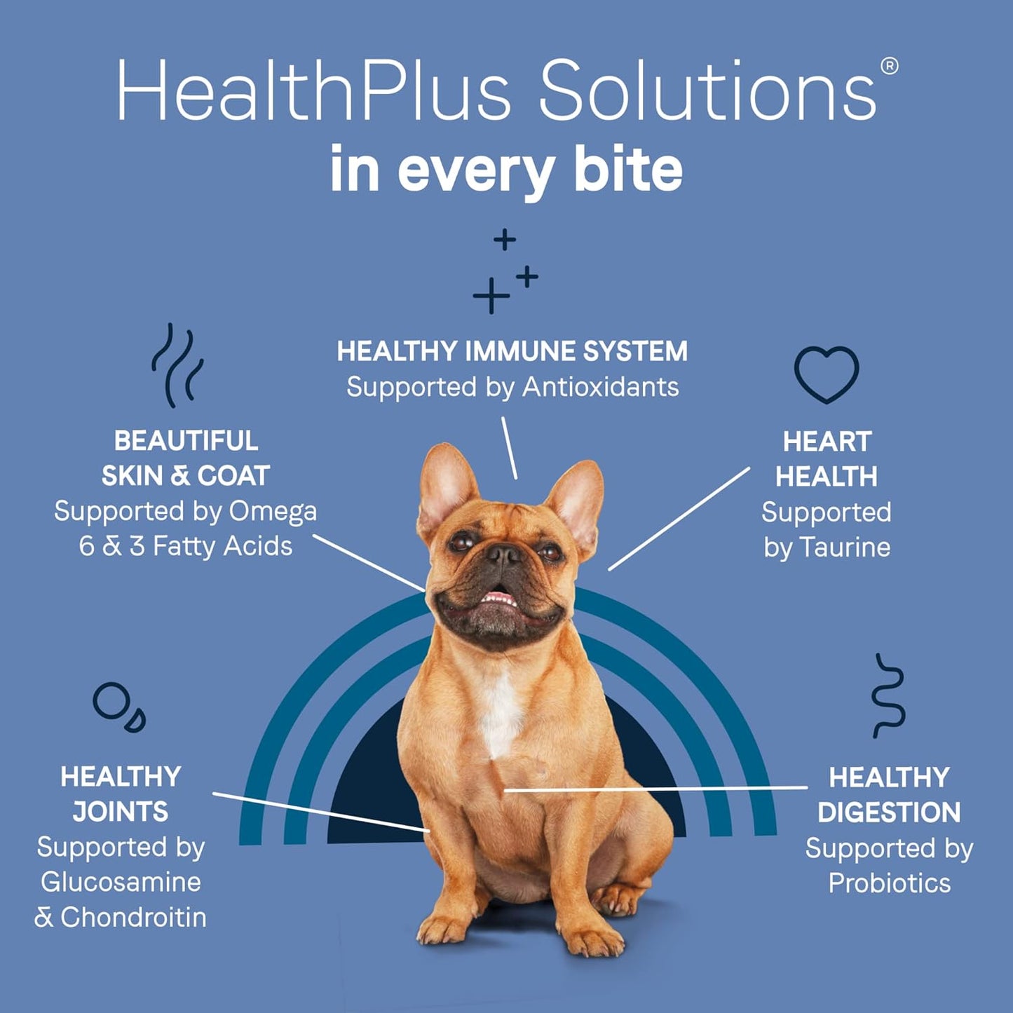 CANIDAE Pure Petite Premium Dry Dog Food for Small Breeds, Chicken & Wholesome Grains Recipe, 4 lbs.