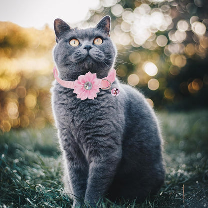 6Pcs Flower Design Cat Collars with Bell Adjustable Decorative Neck Chains for Kitten and Small Dogs Set for Pet Neck Decor and Everyday Use